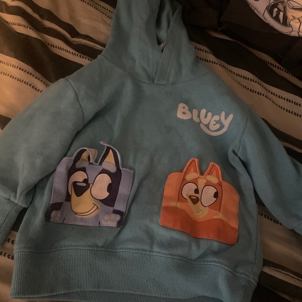 Bluey hoodie